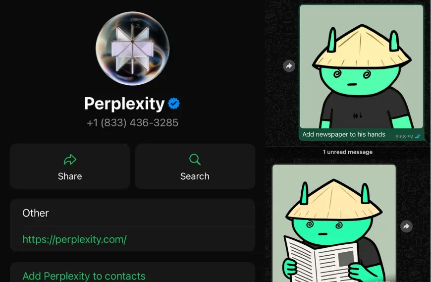 Perplexity Now on WhatsApp and Ready to Talk