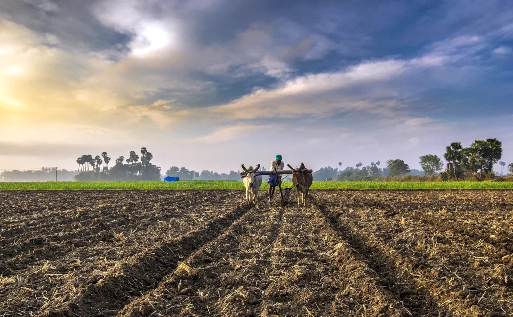 Why India’s Youth Are Turning Away from Farming
