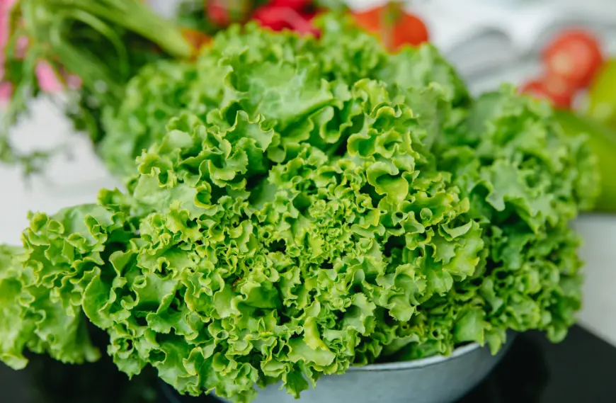 Leafy Greens: A Low-Calorie Boost for Heart and Eye Health