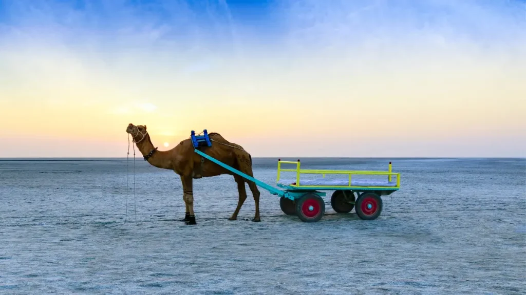 India’s Great Salt Deserts: The White Rann of Kutch and Its Lunar Landscapes